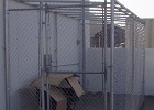 Chain-link cage (3).JPG