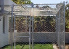 Chain-link cage (2).JPG