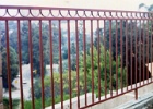 Iron fence.jpg