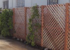 Redwood diamond lattice fence.JPG