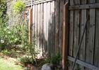4x4 Redwood bracing posts.JPG