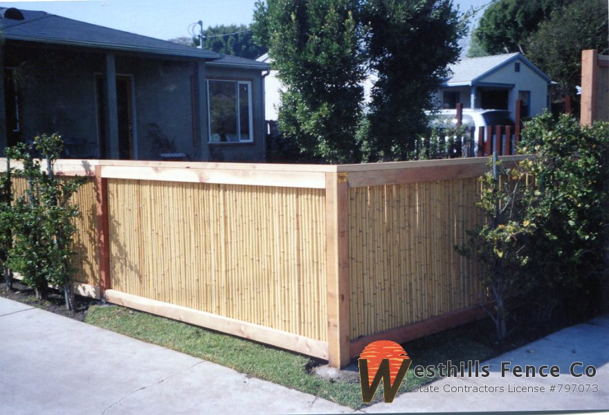 Bamboo fence (2)