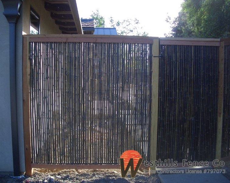 Bamboo fence (4)