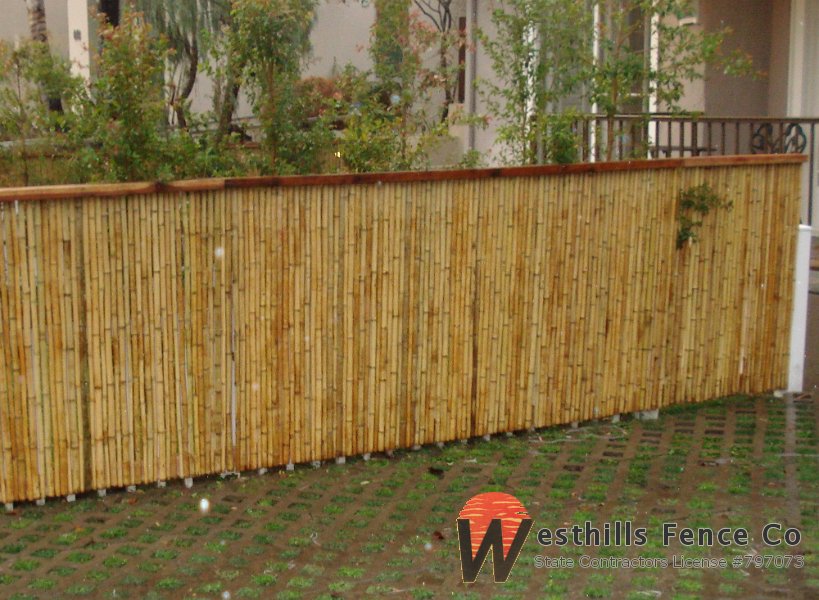 Bamboo fence (5)