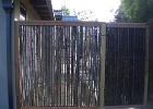 Bamboo fence (4).JPG