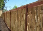 Bamboo fence (6).JPG