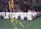 Diamond lattice fence (2).jpg
