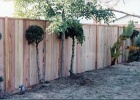 Exposed post fence with 2x4 cap.jpg