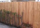 Grapestake fence (2).JPG