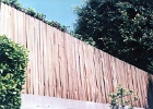 Grapestake fence.jpg