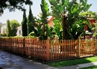 Pointed redwood picket fence with post caps.jpg